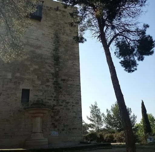 Apartamento Cosy Petit